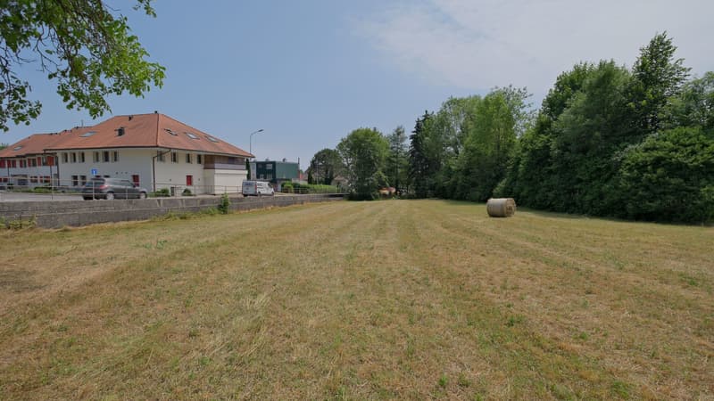 1'691 m² Landparzelle in Langendorf (7)