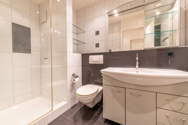 Maison moderne avec cheminée & jardin privé (9)