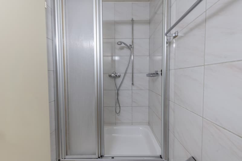 Appartement de jardin attractif avec cheminée et part de jardin privée (12)