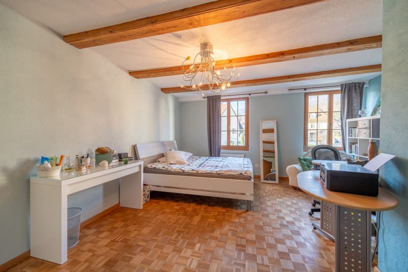 Characterful property with great development and utilization potential (6)
