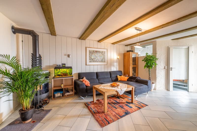 Characterful property with great development and utilization potential (2)