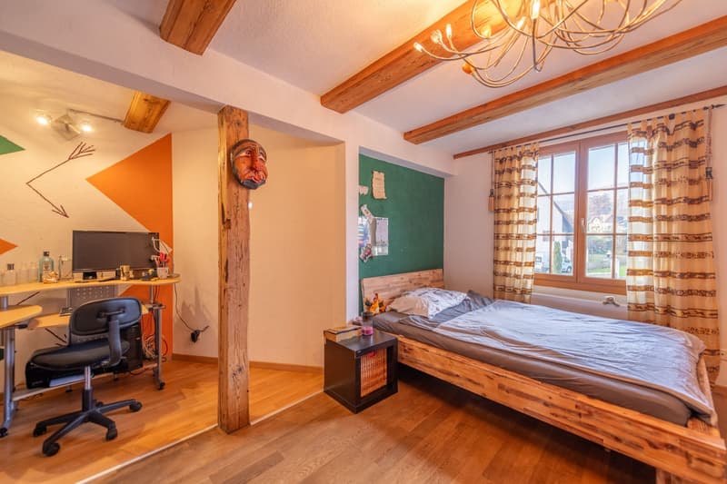Characterful property with great development and utilization potential (5)