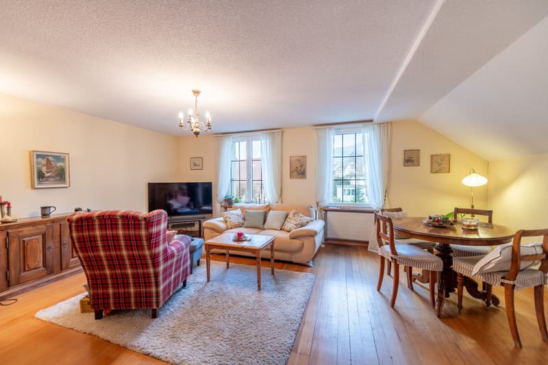 Characterful property with great development and utilization potential (9)