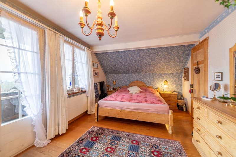 Characterful property with great development and utilization potential (12)