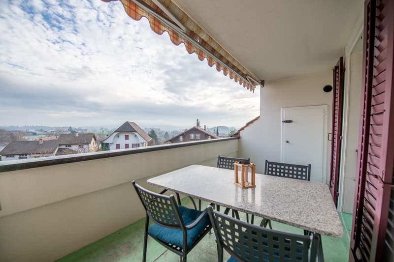 Characterful property with great development and utilization potential (7)