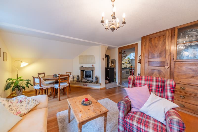 Characterful property with great development and utilization potential (10)
