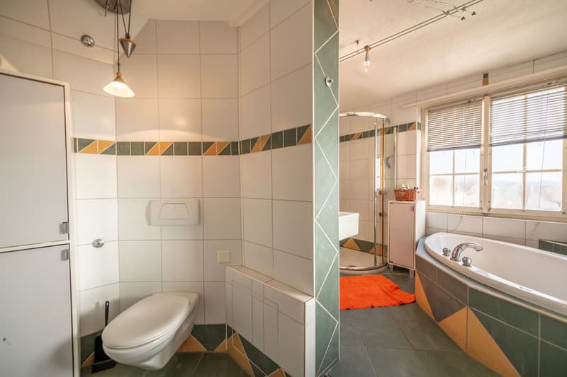 Characterful property with great development and utilization potential (4)
