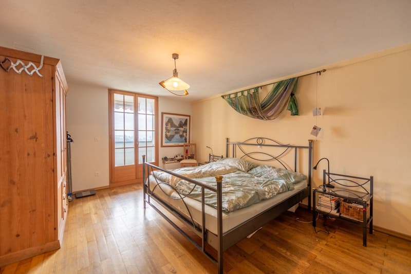 Characterful property with great development and utilization potential (3)