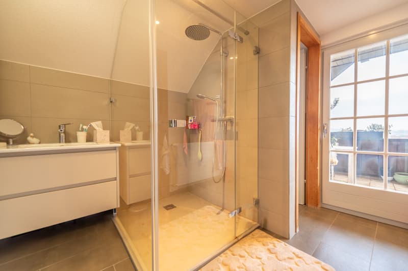 Characterful property with great development and utilization potential (13)