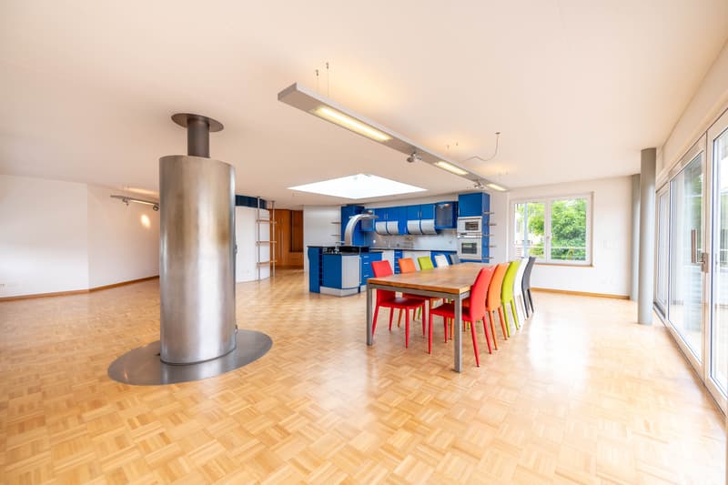 Exclusive residential and commercial property (12)