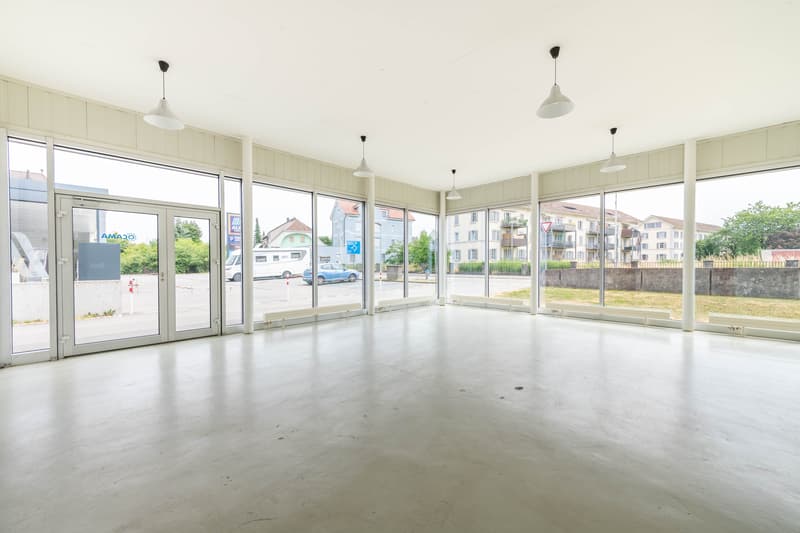 Exclusive residential and commercial property (2)