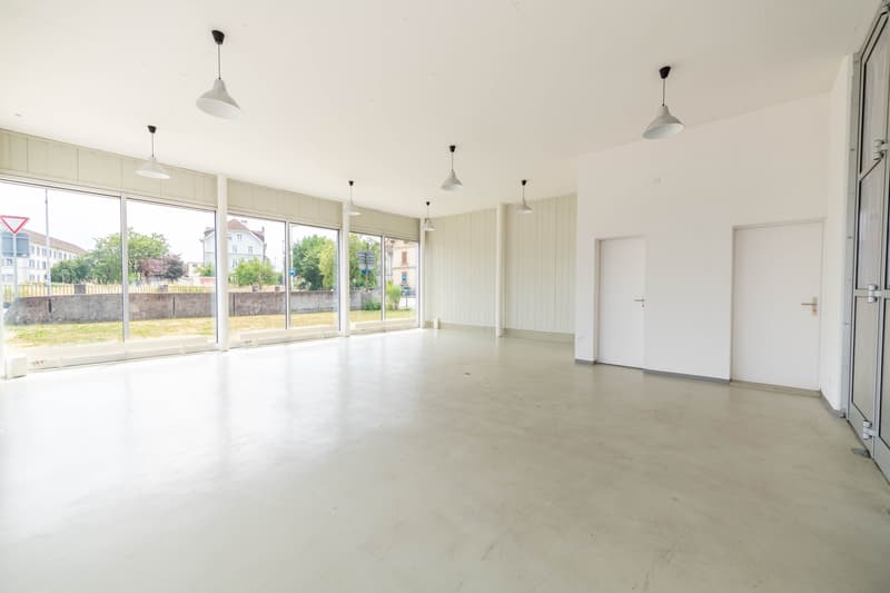 Exclusive residential and commercial property (3)