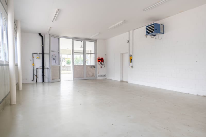 Exclusive residential and commercial property (6)