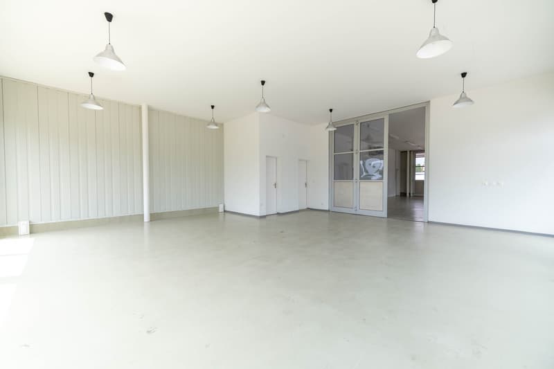 Exclusive residential and commercial property (4)