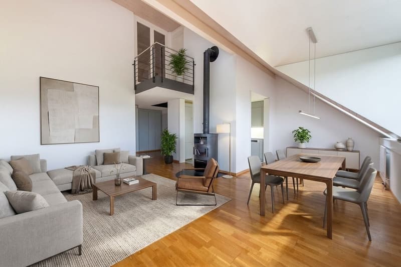 Appartement duplex avec cheminée confortable & lave-linge personnel (1)