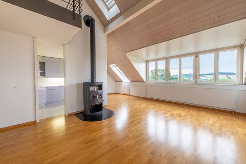 Appartement duplex avec cheminée confortable & lave-linge personnel (2)