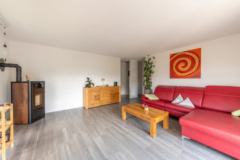 Attic apartment with dreamy terrace, lift, and Jura view (7)