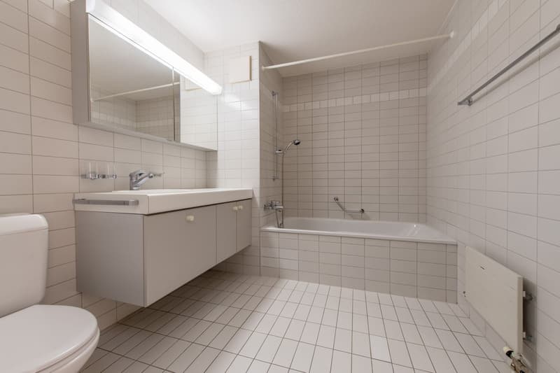 Duplex exceptionnel avec tour de lavage, Réduit & Cheminée (6)