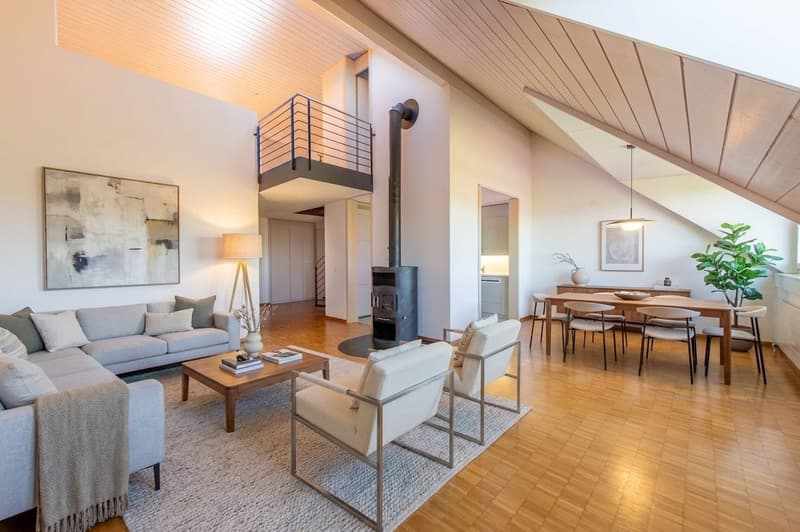 Duplex exceptionnel avec tour de lavage, Réduit & Cheminée (2)
