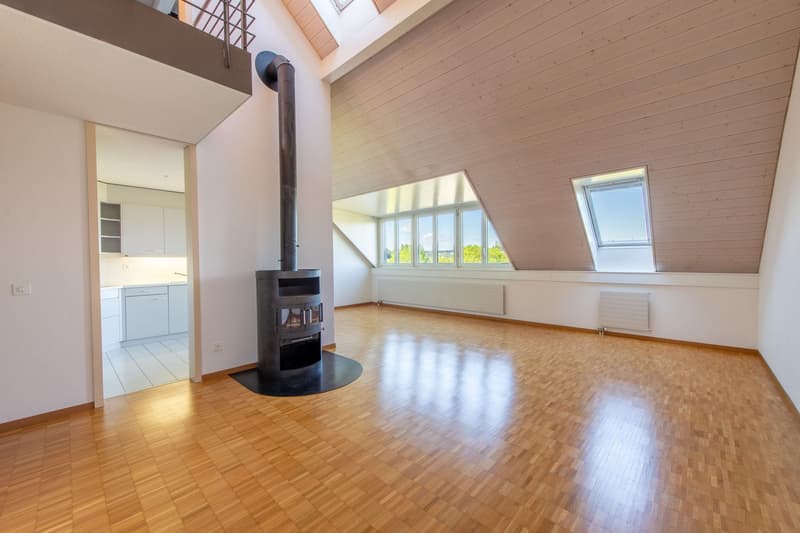 Duplex exceptionnel avec tour de lavage, Réduit & Cheminée (3)