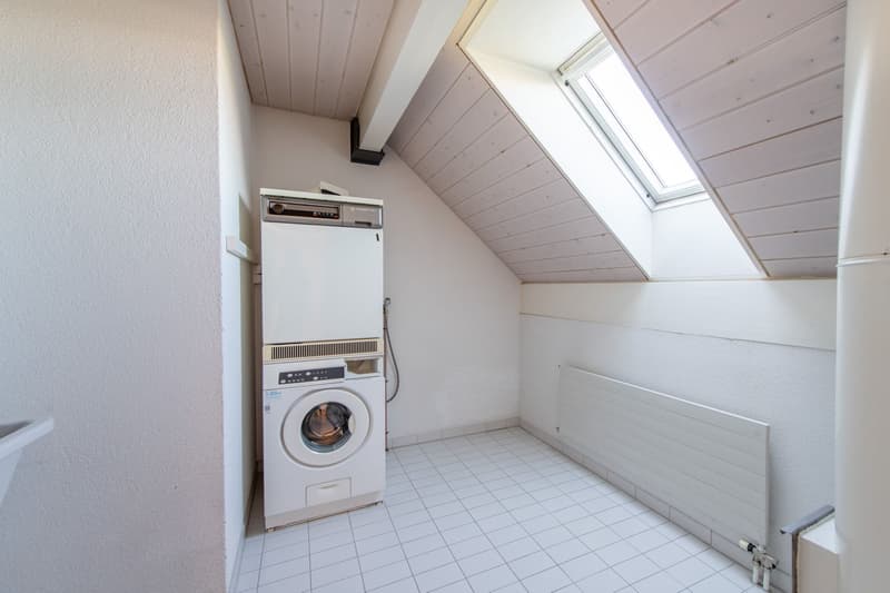 Duplex exceptionnel avec tour de lavage, Réduit & Cheminée (10)