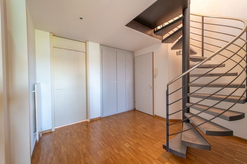 Duplex exceptionnel avec tour de lavage, Réduit & Cheminée (7)