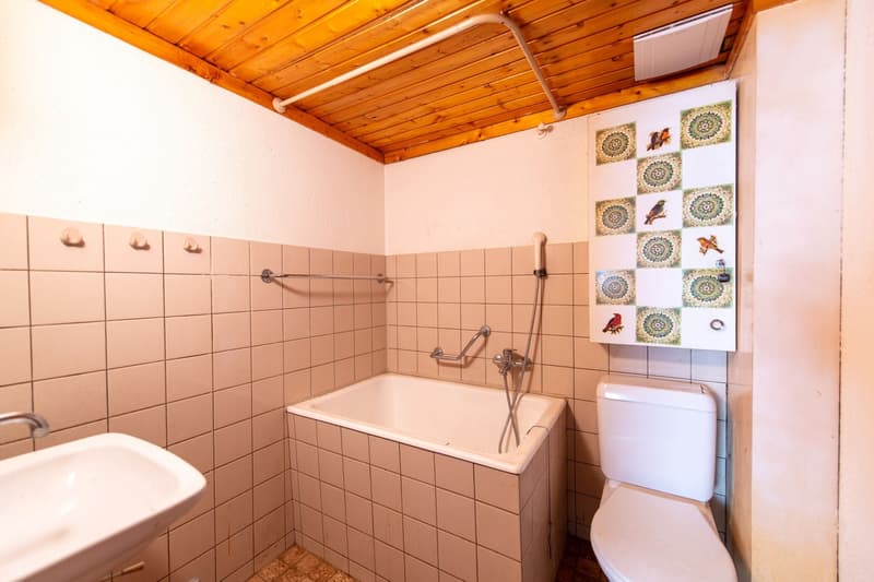 Ein Haus mit Potenzial - angrenzende Liegenschaft ebenfalls erhältlich (11)