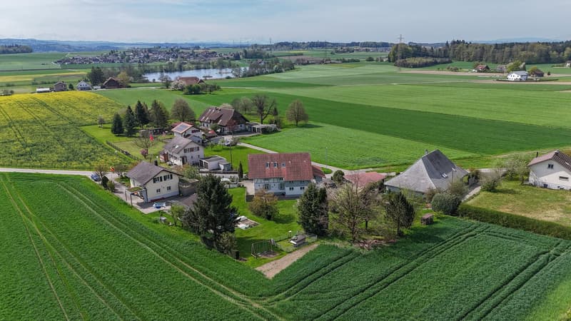 240 m² voller Möglichkeiten - grosszügiges Familienhaus mit Garten (12)