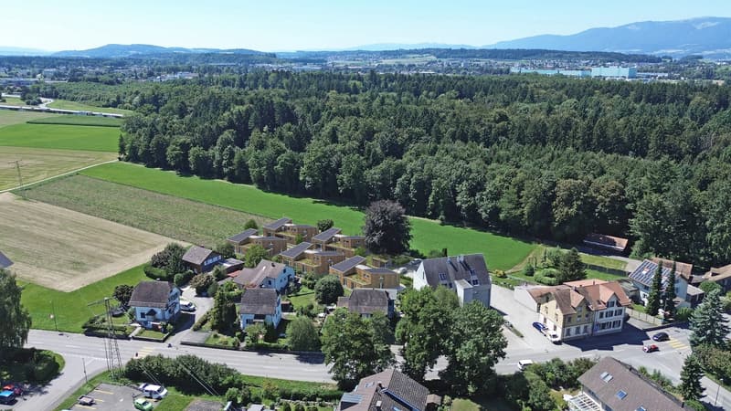 Wohnen auf einer Ebene - Modernes Einfamilienhaus mit Terrasse (1)