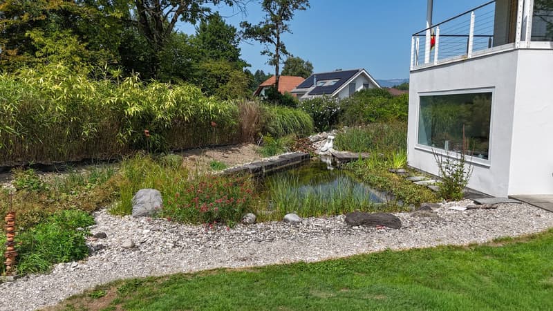 Stilvoll. Grosszügig. Harmonisch: Ihr modernes Traumhaus mit durchdachtem Luxus (10)