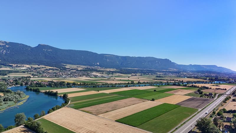 878 m² Bauland für Ihre Wohnideen in Leuzigen (7)