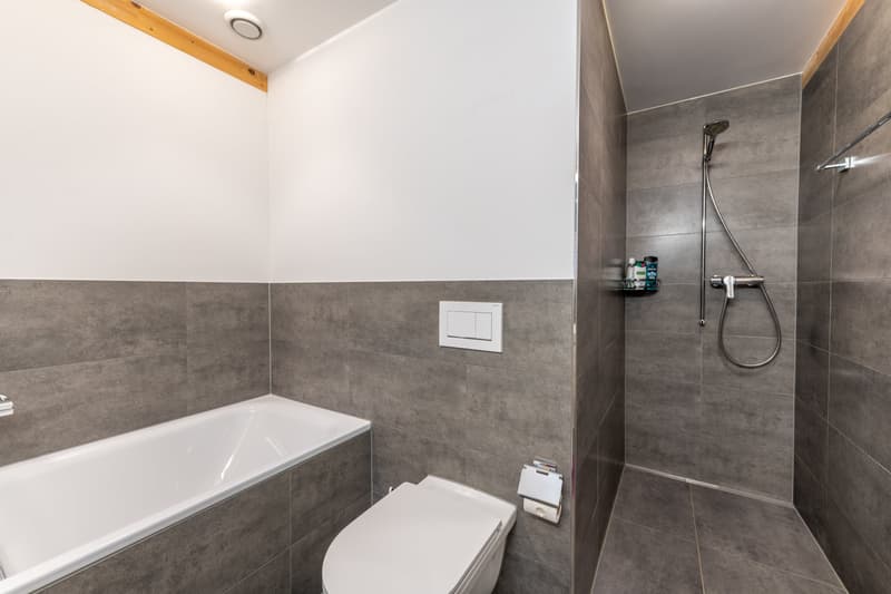 Grosszügiges Wohnen mit 24 m² Terrasse (12)