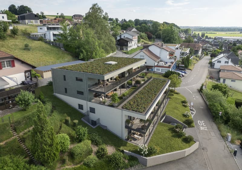 Wohnen mit Weitblick - 3.5-Zimmer Erdgeschosswohnung mit Panoramaterrasse (2)