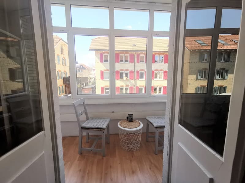 Charming multi-family house with 3 residential units and development potential (11)