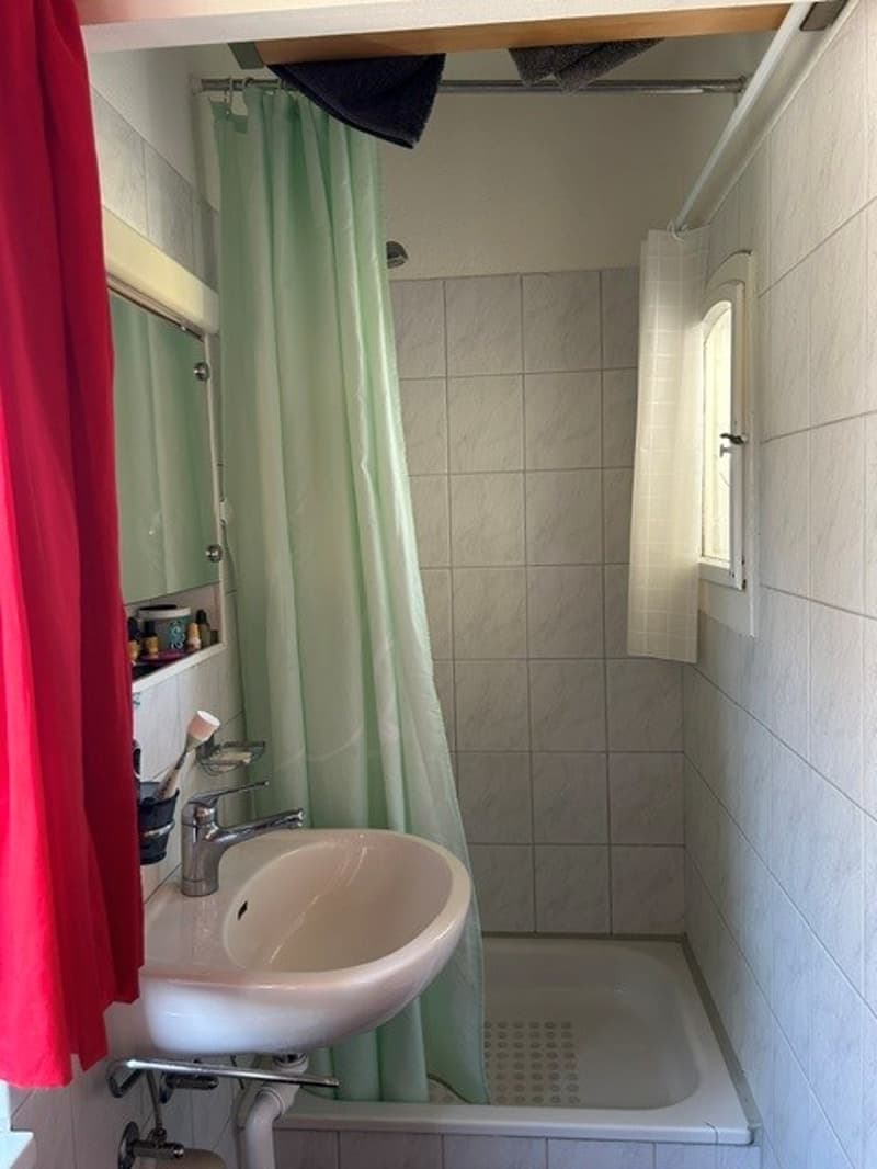 Charming multi-family house with 3 residential units and development potential (13)