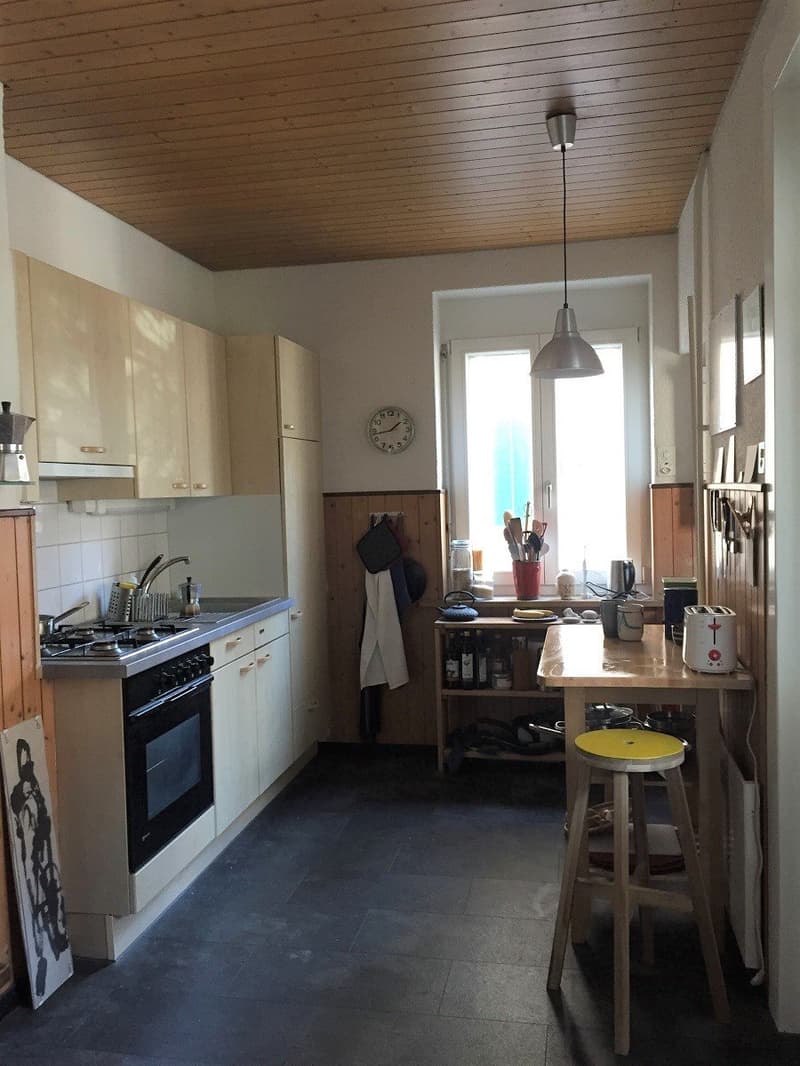 Charming multi-family house with 3 residential units and development potential (6)
