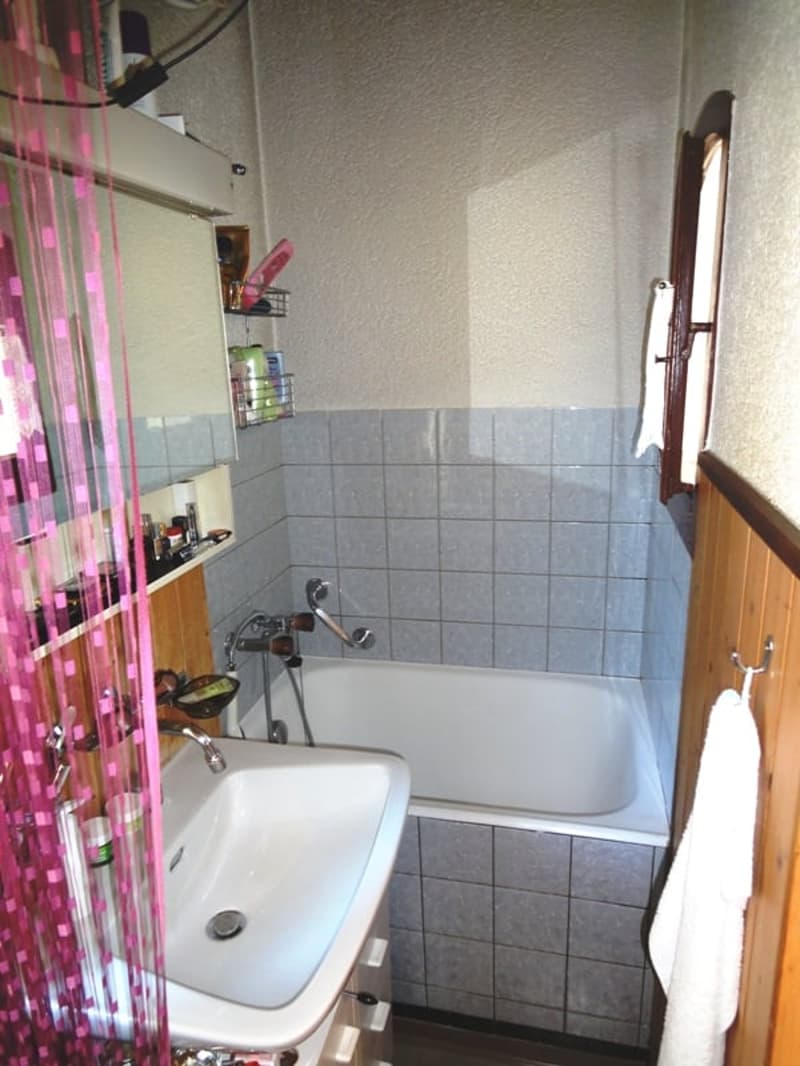 Charming multi-family house with 3 residential units and development potential (7)