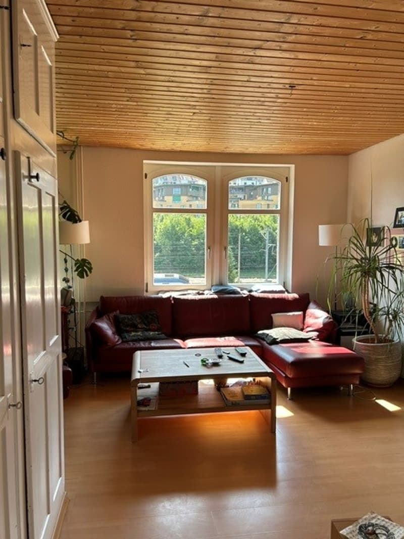 Charming multi-family house with 3 residential units and development potential (12)