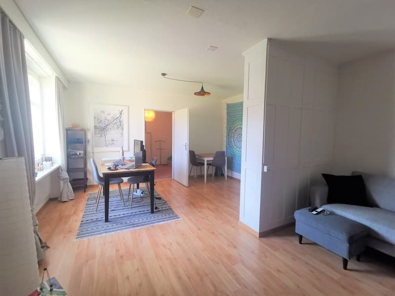 Charming multi-family house with 3 residential units and development potential (9)