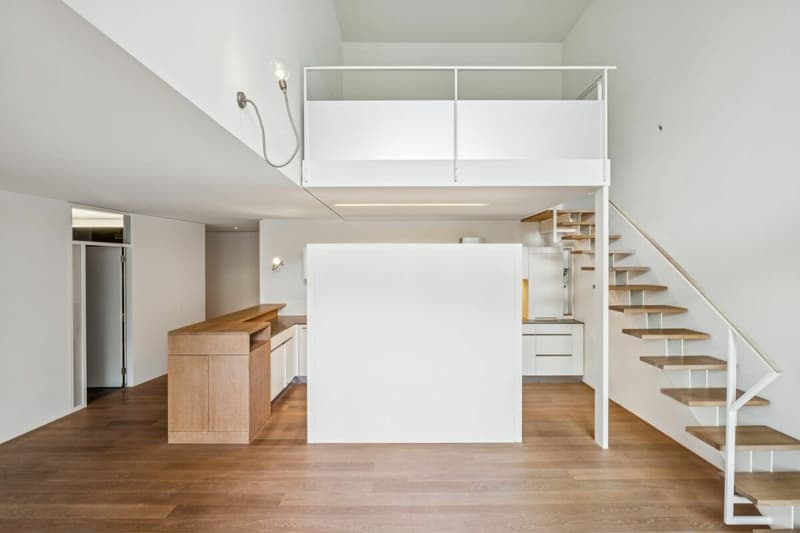 Residential object for design enthusiasts (4)