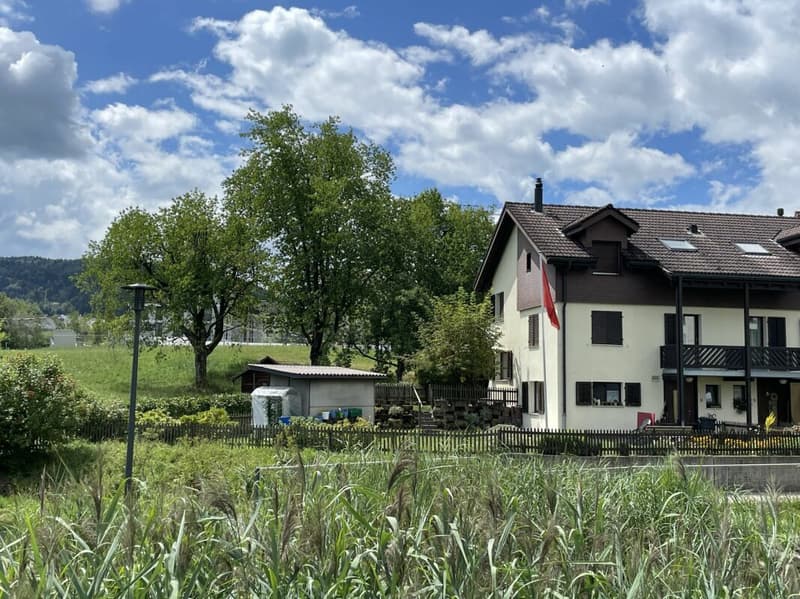 Ein Familienhaus (1)
