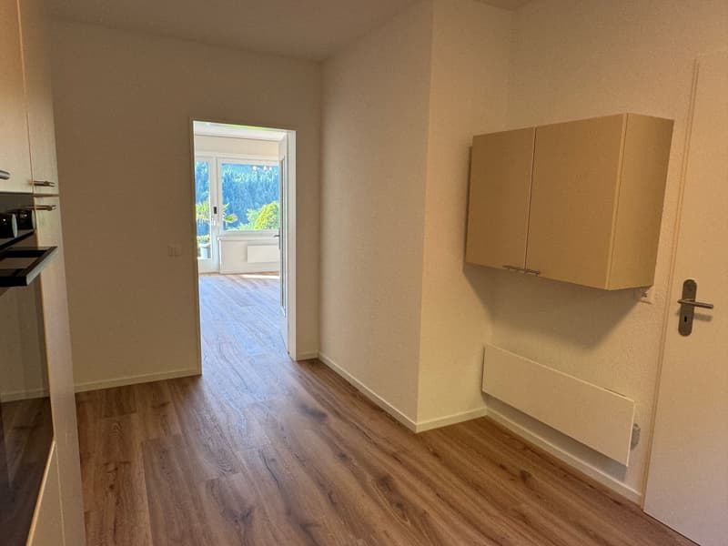 5.5-Zimmer-Reiheneckhaus mit Garten in Adligenswil mieten (9)