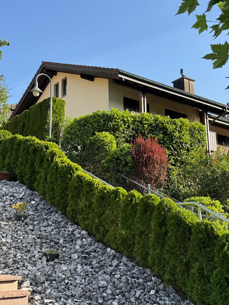 5.5-Zimmer-Reiheneckhaus mit Garten in Adligenswil mieten (2)