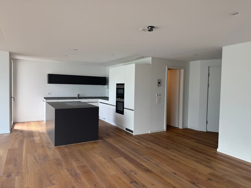 Grosszügige 4½-Zimmer-Wohnung mit Seesicht und sonnigem Balkon in Ennetbürgen mieten (3)
