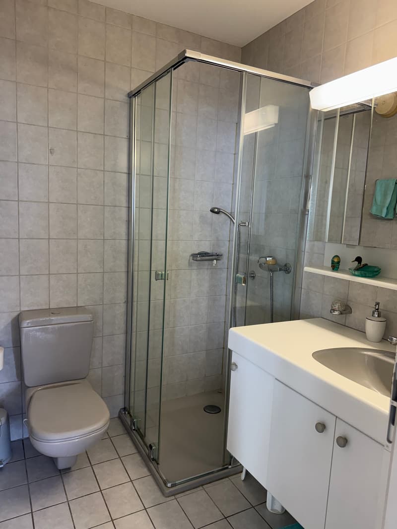 2.5-Zimmer-Attikawohnung mit Panoramasicht in Brissago kaufen (11)