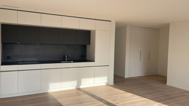 Neuwertig wohnen in Ennetbürgen - moderne 3 1/2-Zimmer-Wohnung mit Balkon (4)