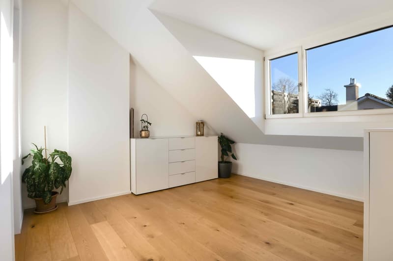 white walls, wooden floor, skylight, large window, white cabinet, potted plants