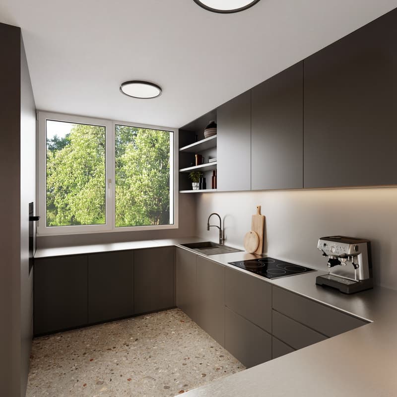modern kitchen, granite countertops, stainless steel appliances, large window, natural light, open shelving, dark cabinets, modern faucet, induction cooktop, coffee machine