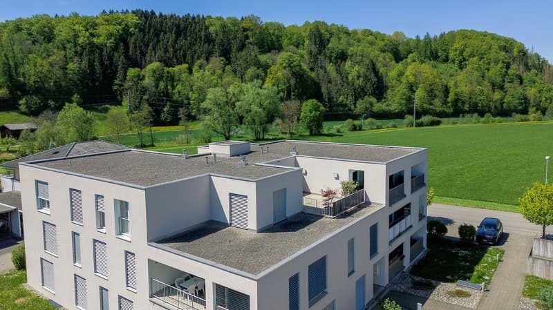 Exclusive 5.5-room attic apartment in Magden 2.1 (14)