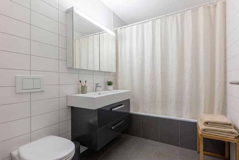 Exclusive 5.5-room attic apartment in Magden 2.1 (11)